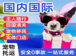榆林榆阳航空货运国际宠物托运 【国